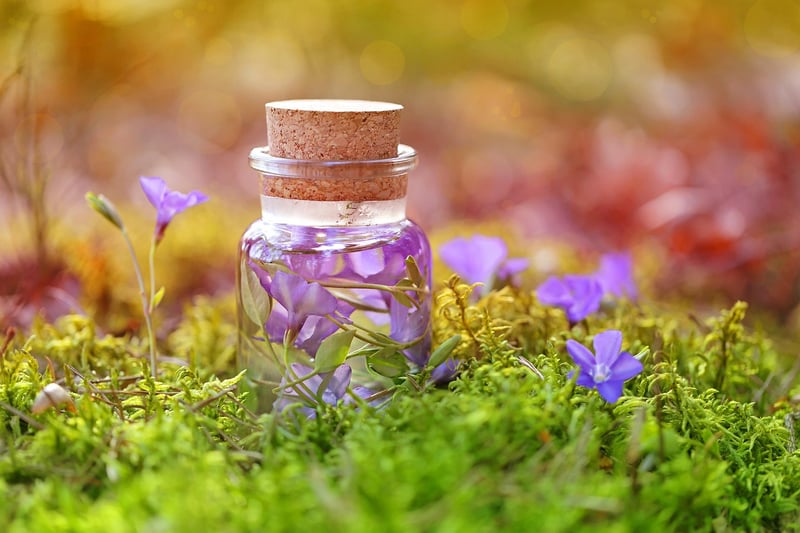 Magical Botanical Potions